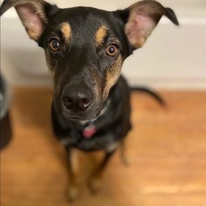 Meet your Posher, Adriana